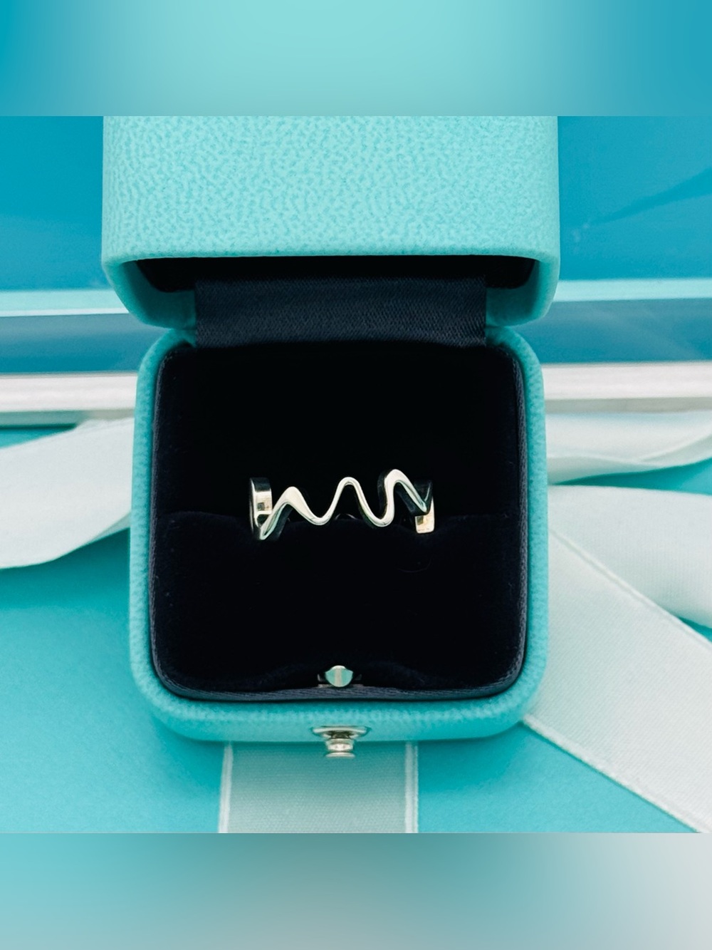 Tiffany & Co SS Retired Frank Gehry Equus Ring Size 6